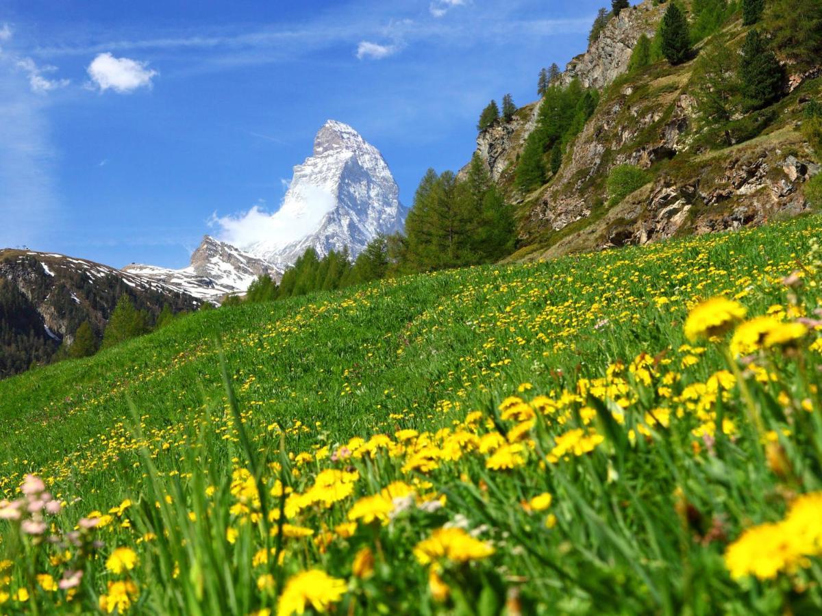 Apartment Grillon-3 By Interhome Zermatt